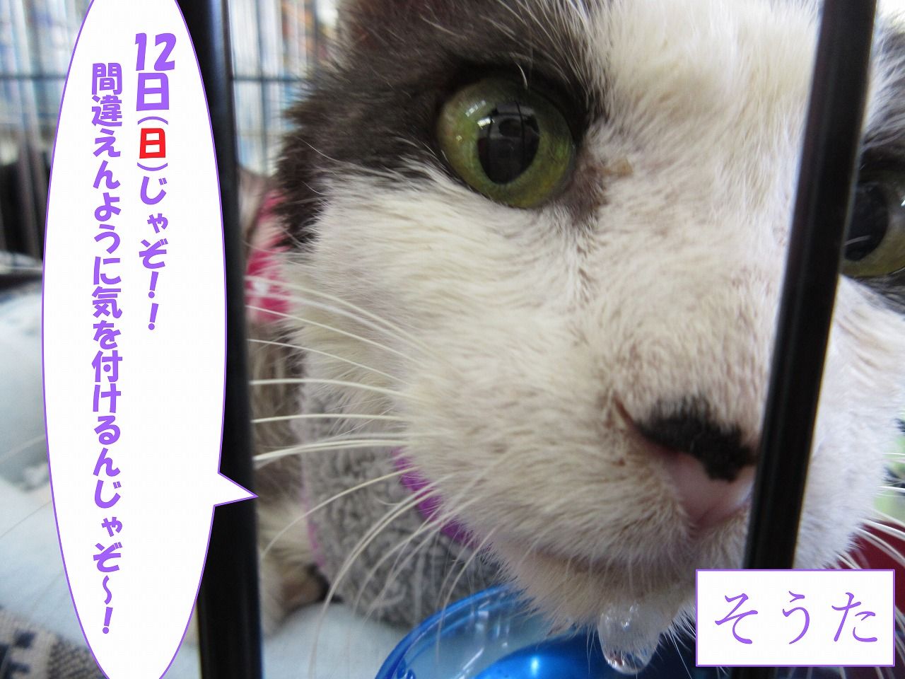 イメージ 4