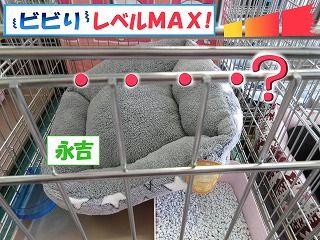 イメージ 7