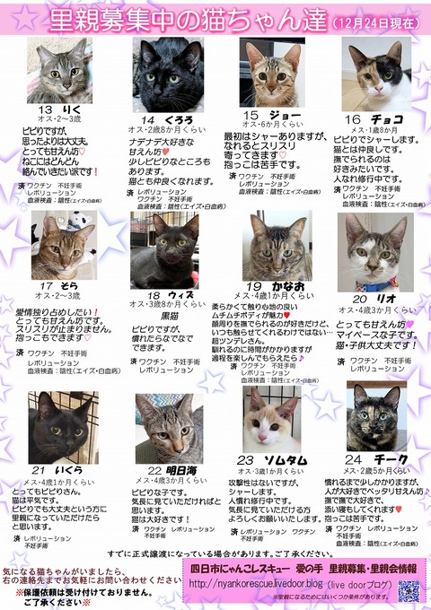 s-itirannsatooya2-20231224ip