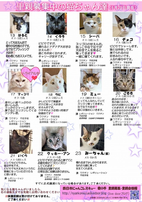 s-itirannsatooya2-2025629ip