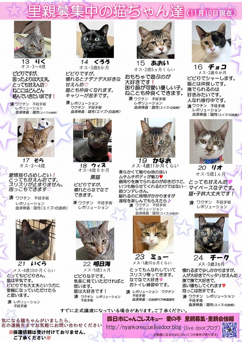s-itirannsatooya2-20241110ip