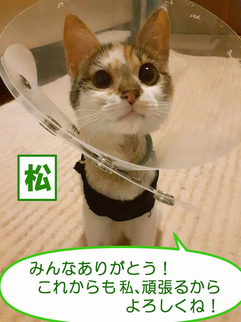 s-matuarigatou