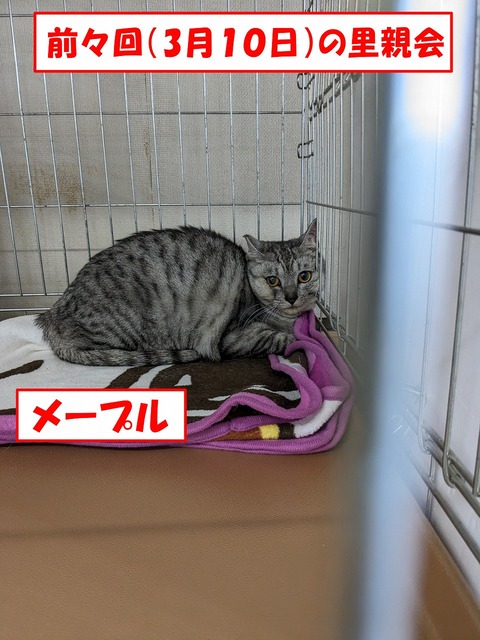 s-me-puru