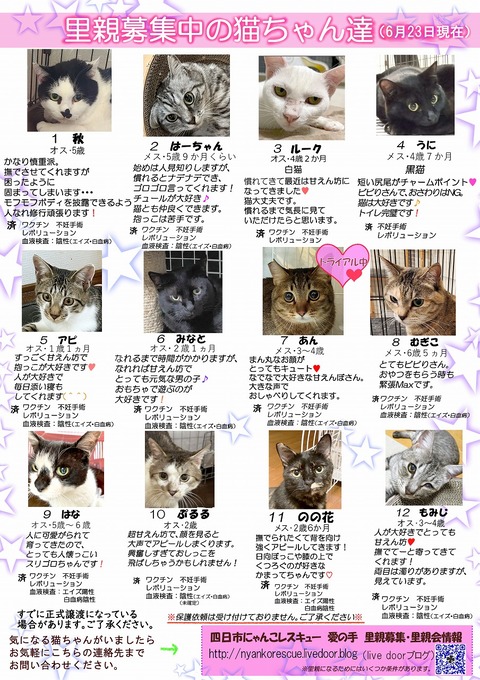 s-itirannsaooya2-3.2024623lip