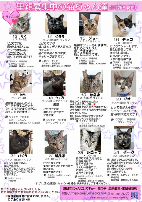 s-itirannsatooya2-2024225ip