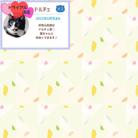 s-1696162325831to