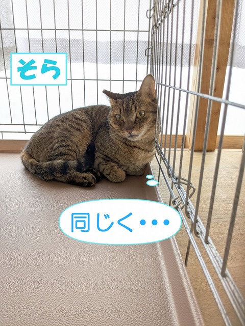 s-sora