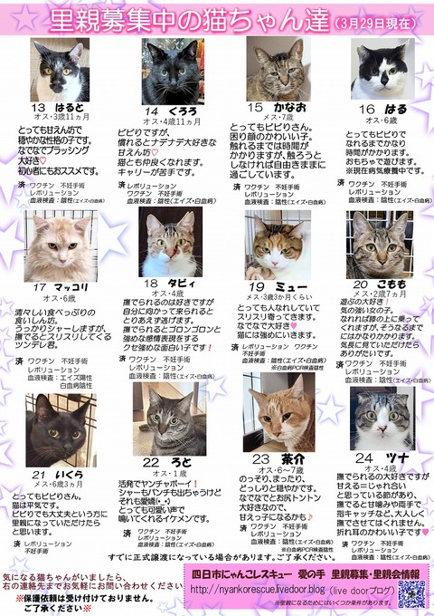 s-itirannsatooya2-2026329ip
