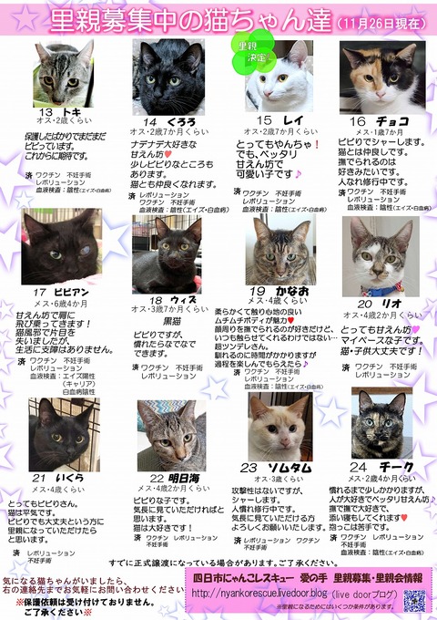 s-itirannsatooya2-20231126ip