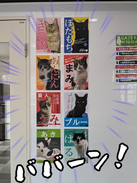 s-senkyo