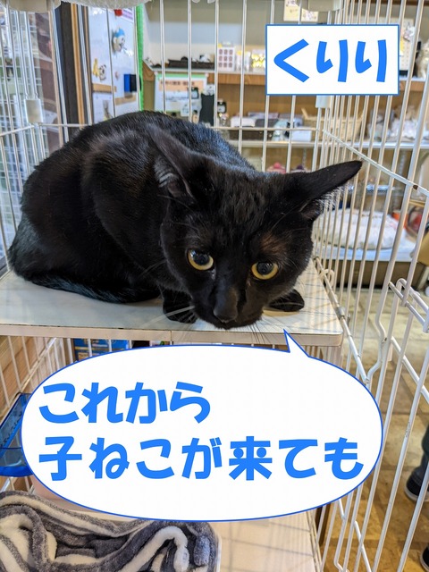 s-kuriri