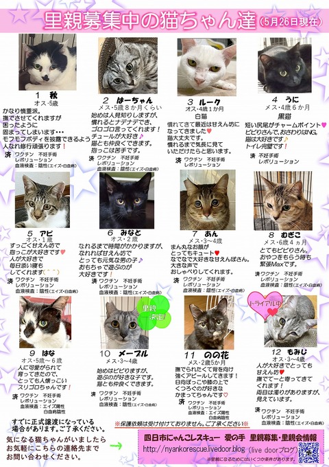 s-itirannsaooya2-3.2024526lip