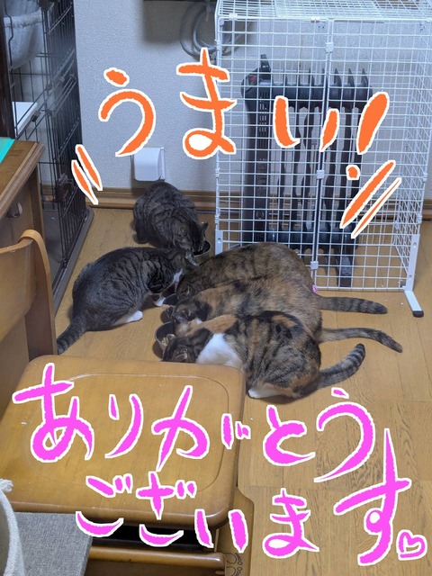 s-umai