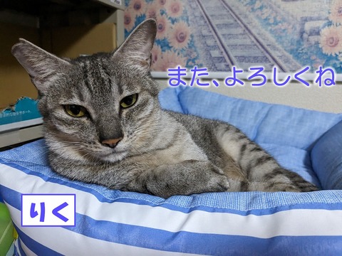 s-riku