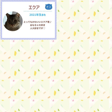 s-1703157569190
