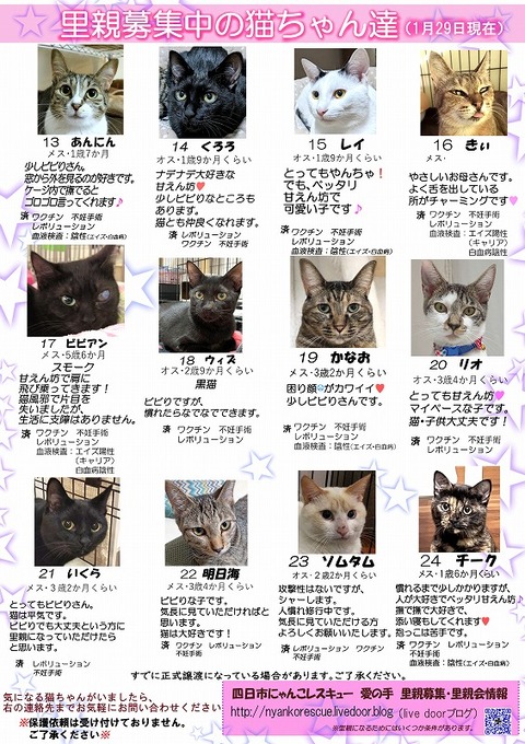 s-itirannsatooya2-2023129ip