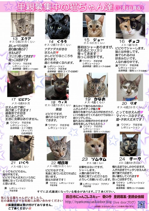 s-itirannsatooya2-20231126ip