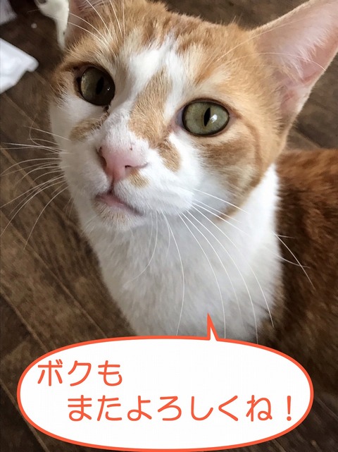 s-tora
