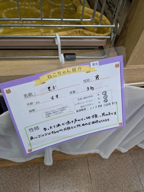 s-205019