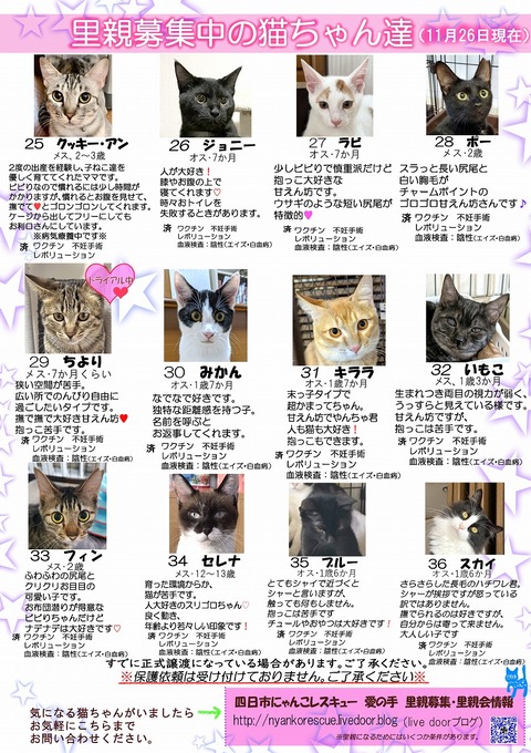 s-itirannsaooya2-20231126(2)bosyuuyouclip