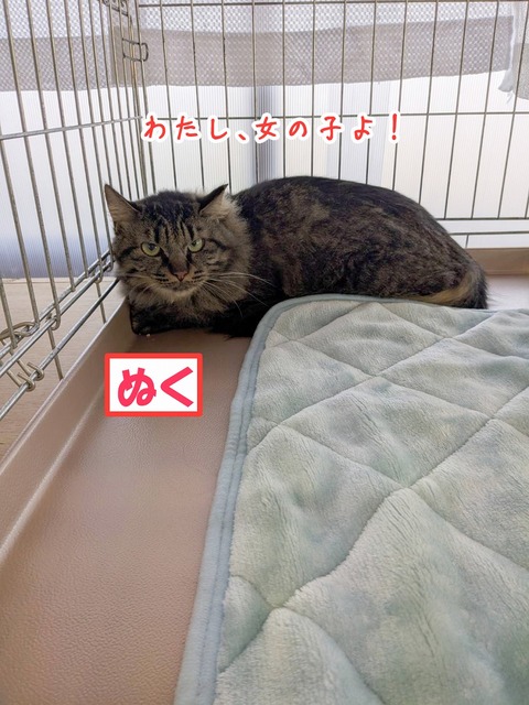 s-nuku
