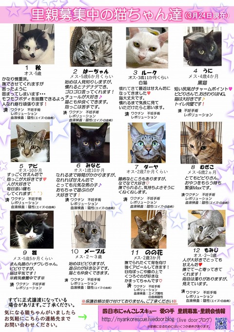 s-itirannsaooya2-3.2024324lip