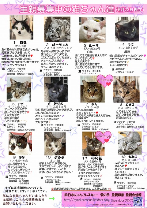 s-itirannsaooya2-3.2024623lip