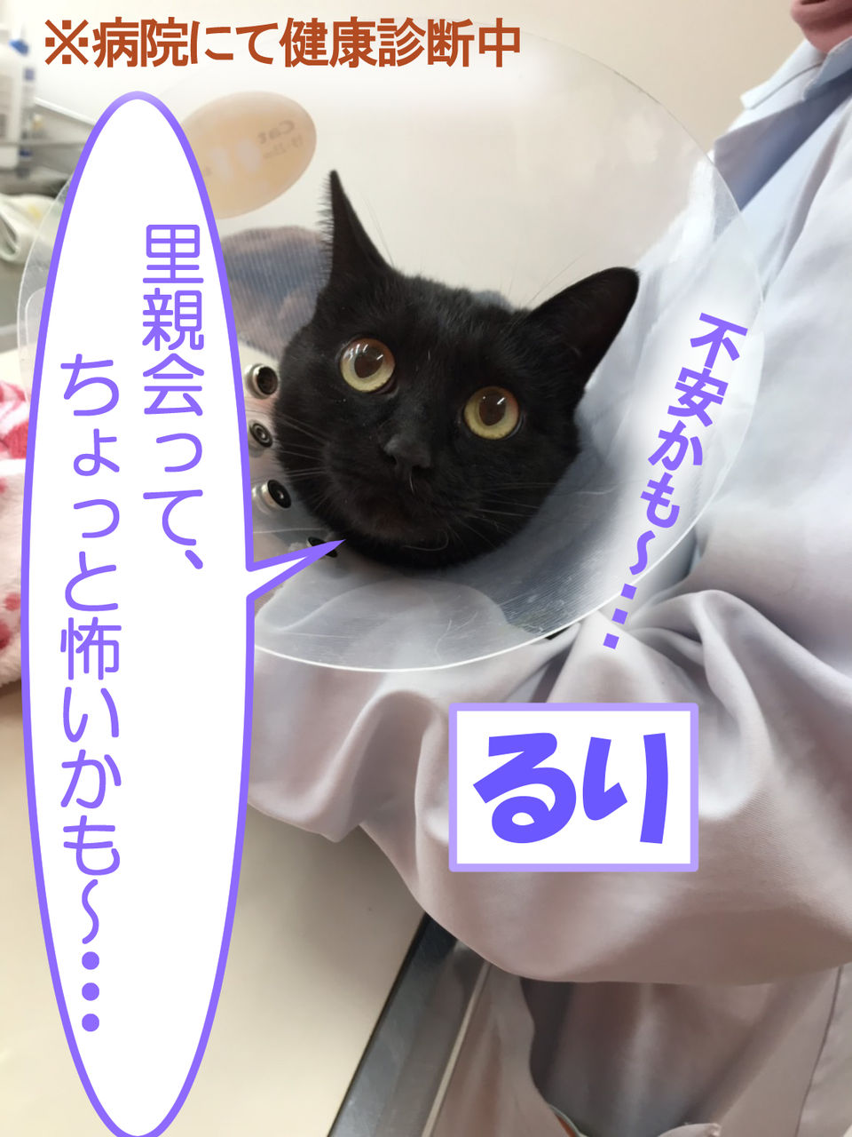 イメージ 3