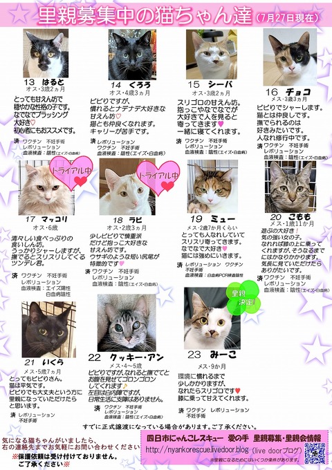 s-itirannsatooya2-2025727ip