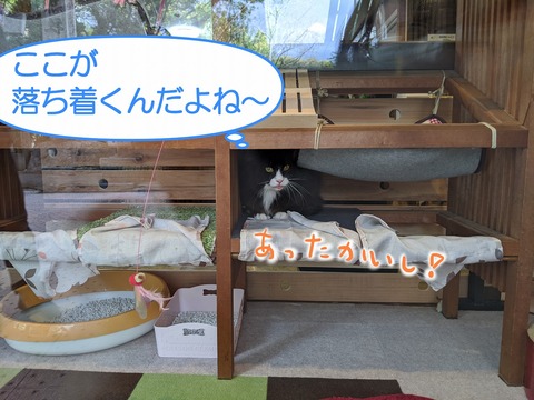 s-nagasimakun