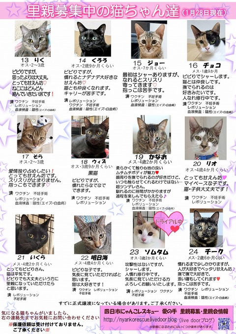 s-itirannsatooya2-2024128ip