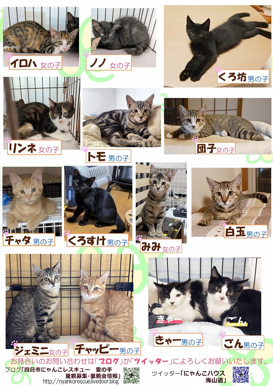 支援物資、ご寄付をいただきありがとうございます！9月13日（日）は