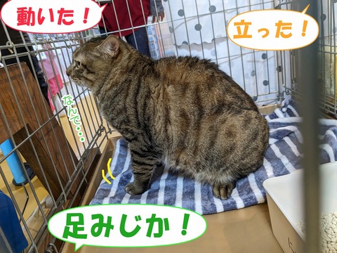 s-mune2