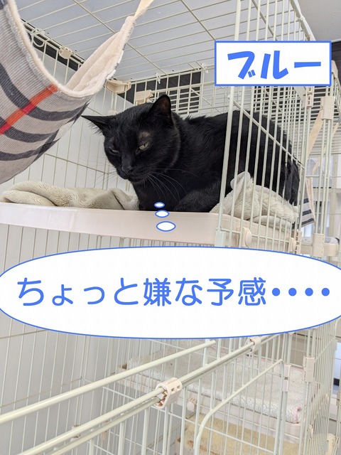 s-buru-