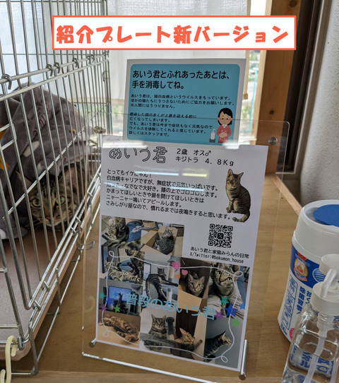 syoukai