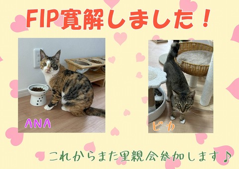 s-hisasiburi