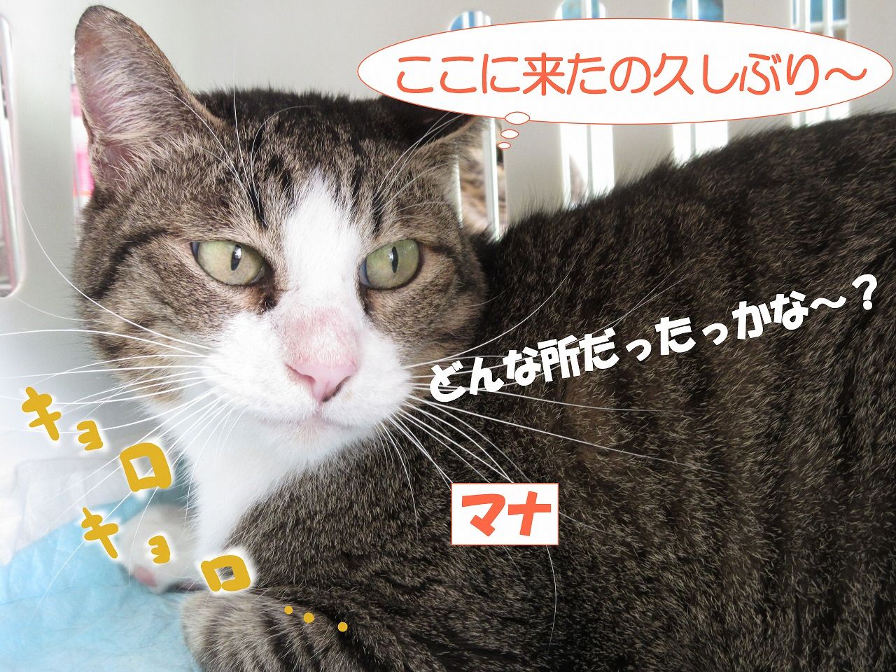 イメージ 3