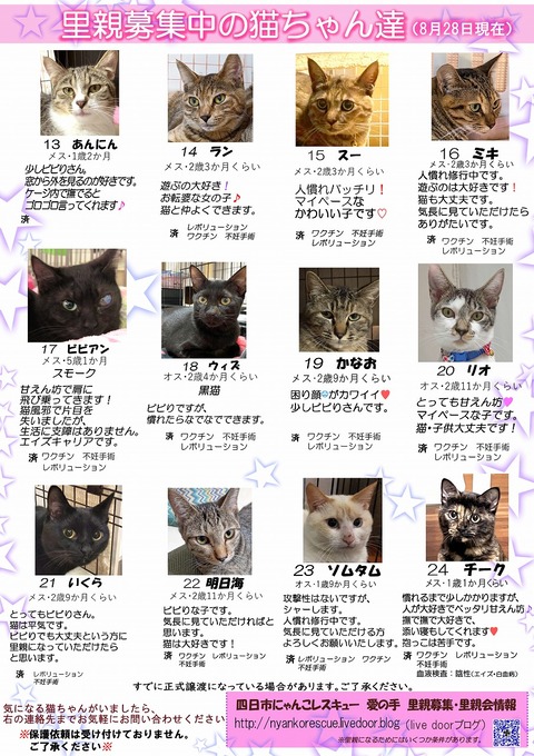 s-itirannsatooya2-2022828ip