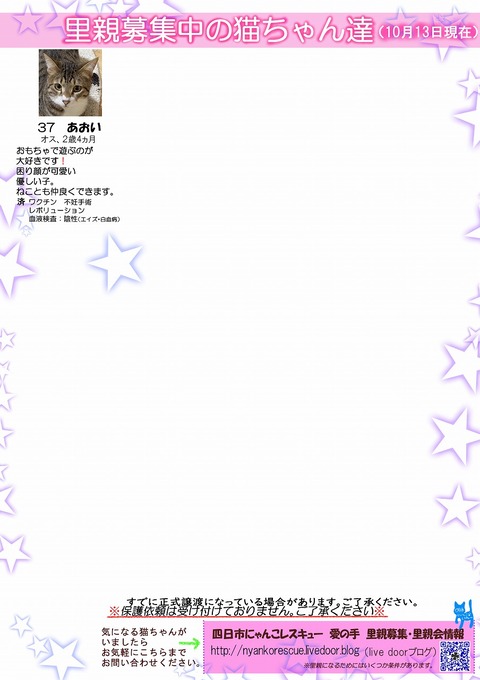 s-itirannsaooya2-20241013[ ()bosyuuyouclip