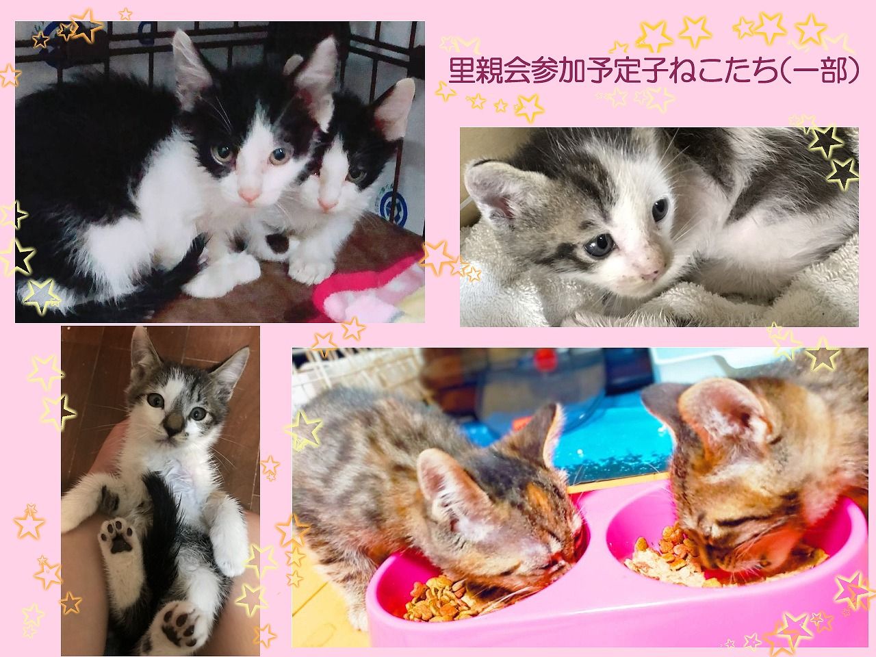 イメージ 10