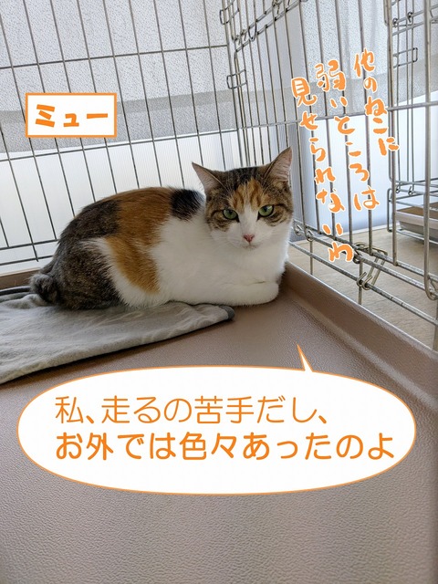 s-myu-