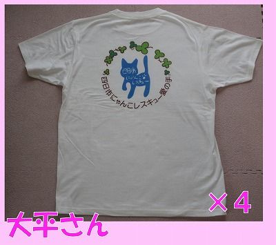 イメージ 6