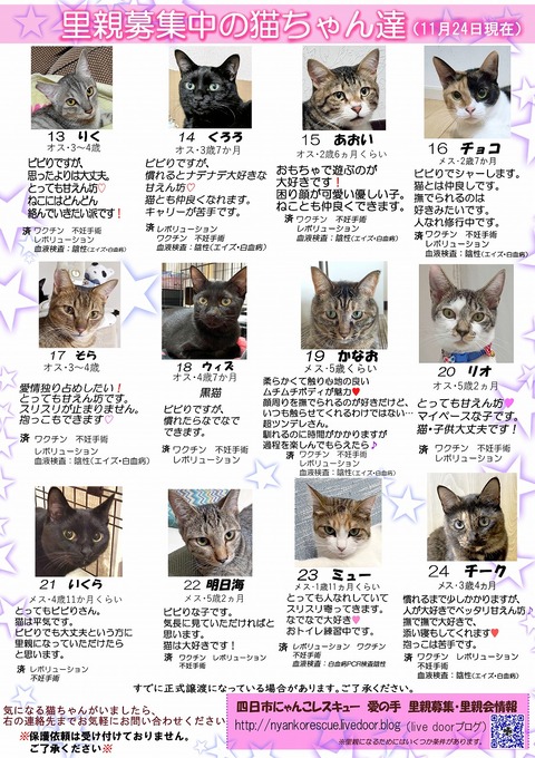 s-itirannsatooya2-20241124ip