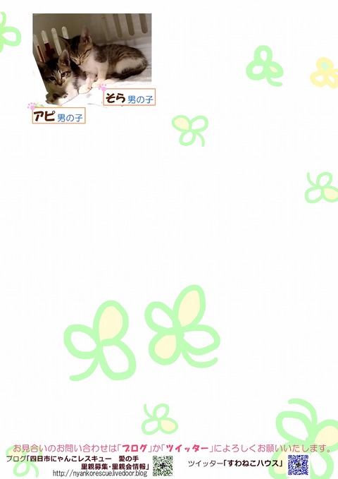 s-koneko2