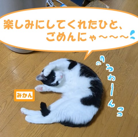 s-mikann