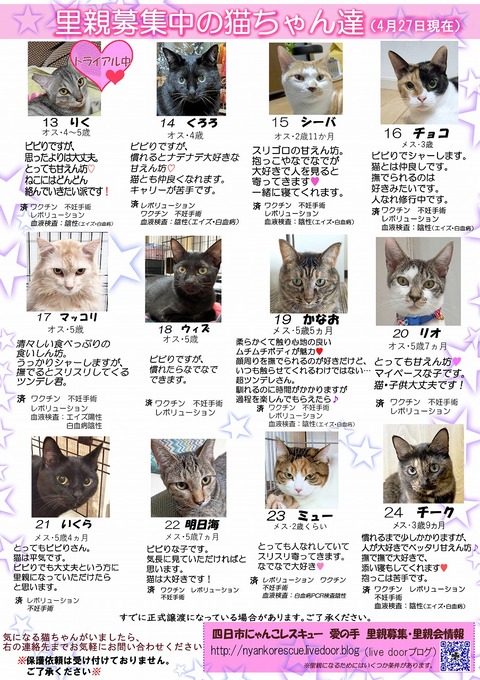 s-itirannsatooya2-2025427ip