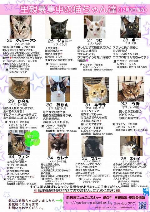 s-itirannsaooya2-20231209(2)bosyuuyouclip