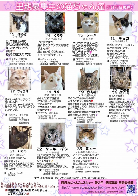 s-itirannsatooya2-2025525ip