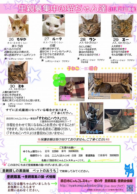 s-itirannsaooya2-3.1129 ()bosyuuyouclip