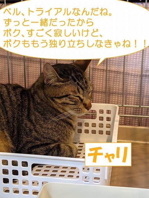 s-beru